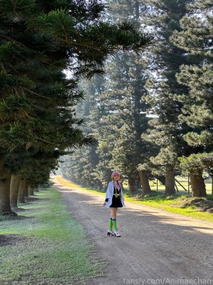 Animaechan Photo #40