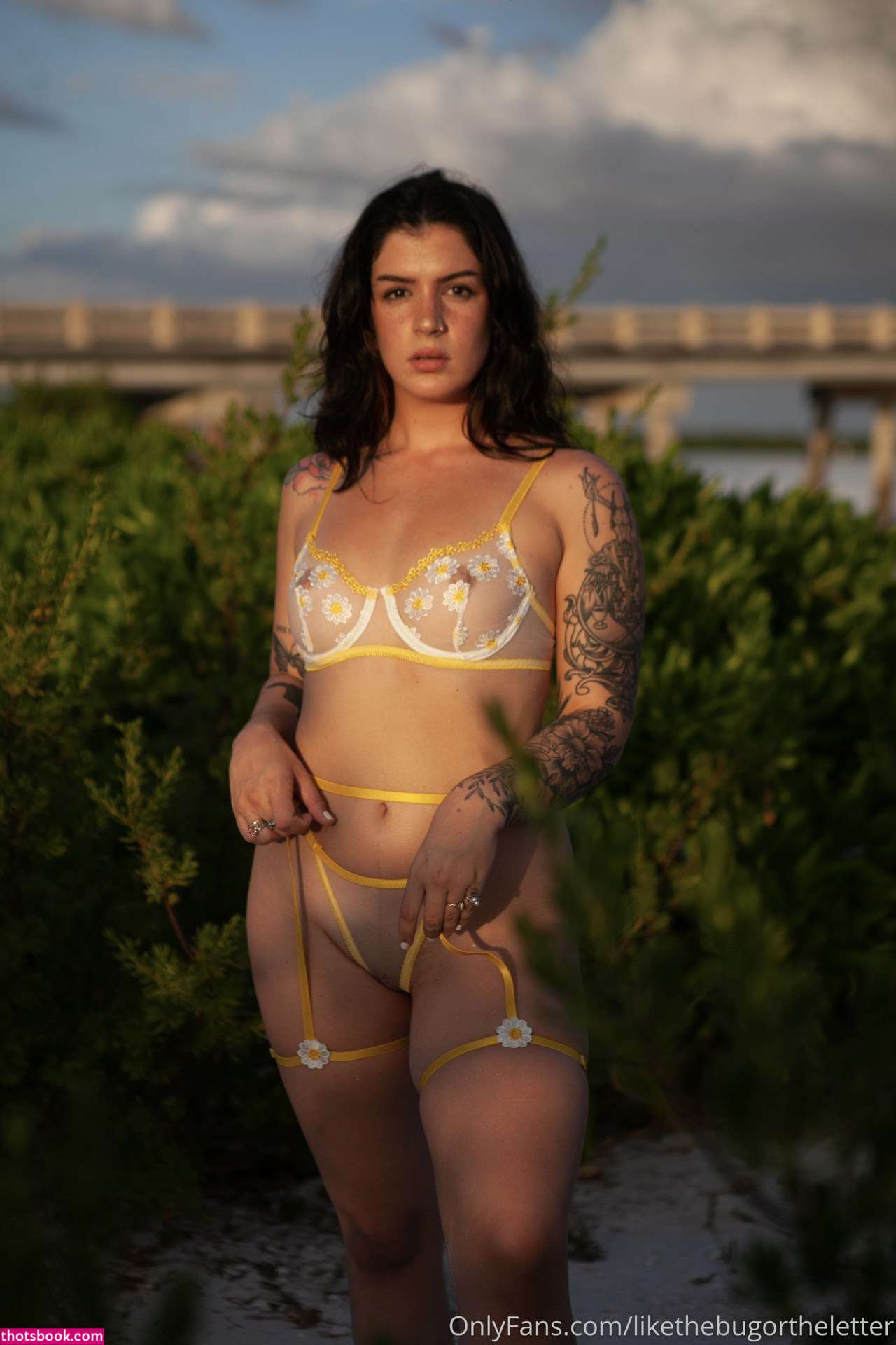 Bugortheletter Photo #92