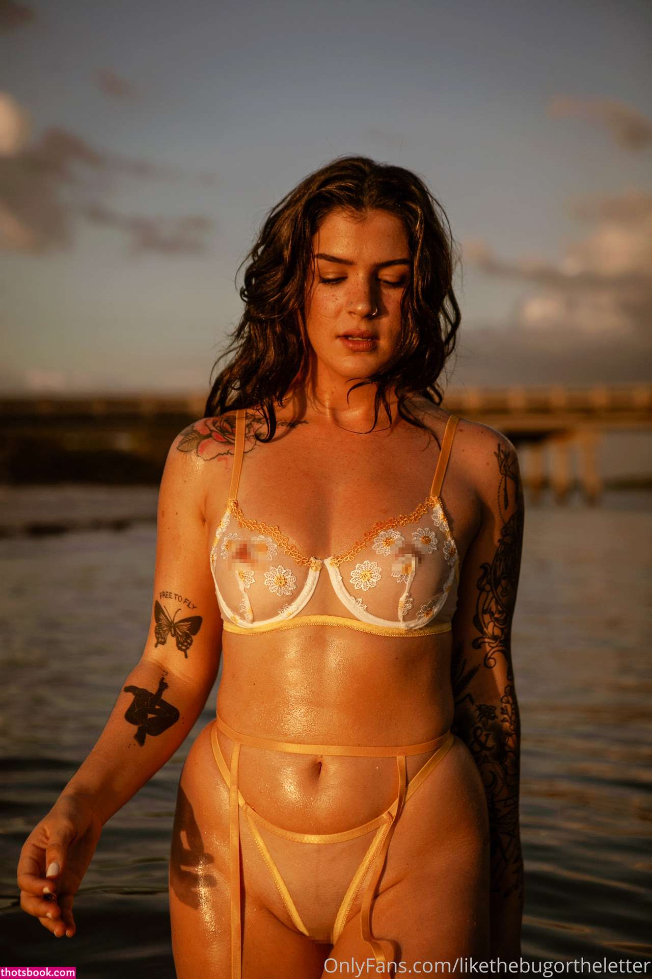 Bugortheletter Photo #104