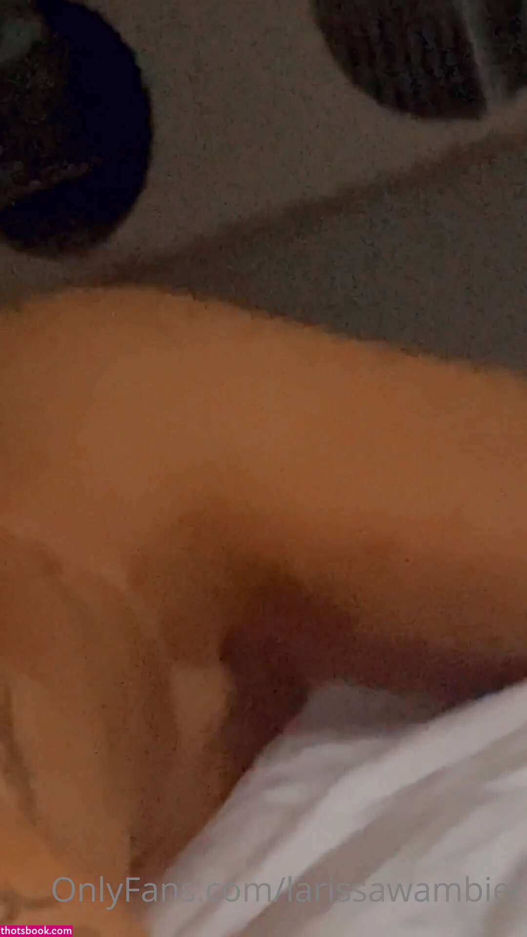 Larissa Wambier Photo #93