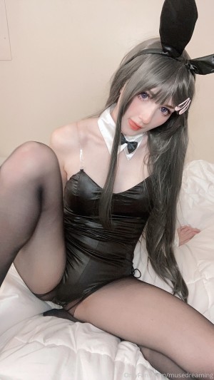 musedreaming Photo #11