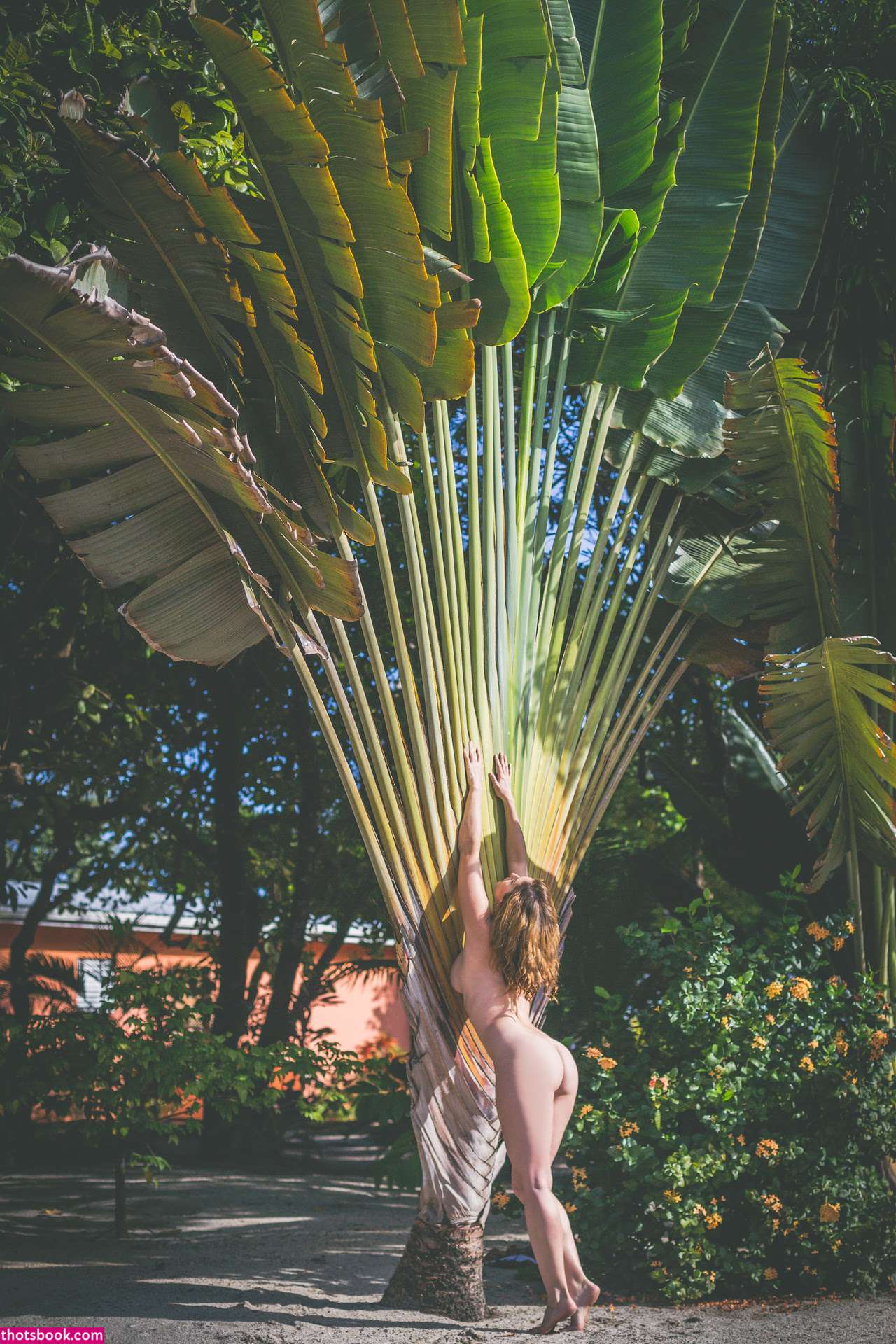 Carlotta Champagne Photo #702