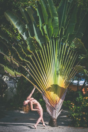 Carlotta Champagne Photo #697