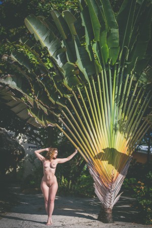 Carlotta Champagne Photo #700