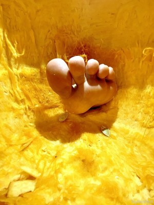 Zeldahyrule Photo #22