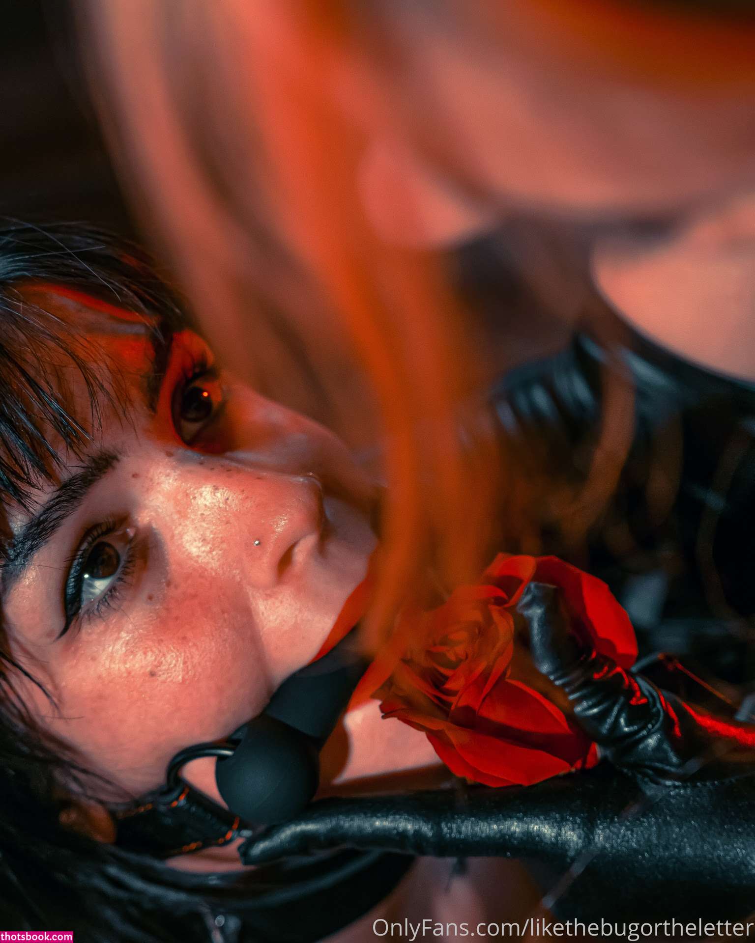 Bugortheletter Photo #218