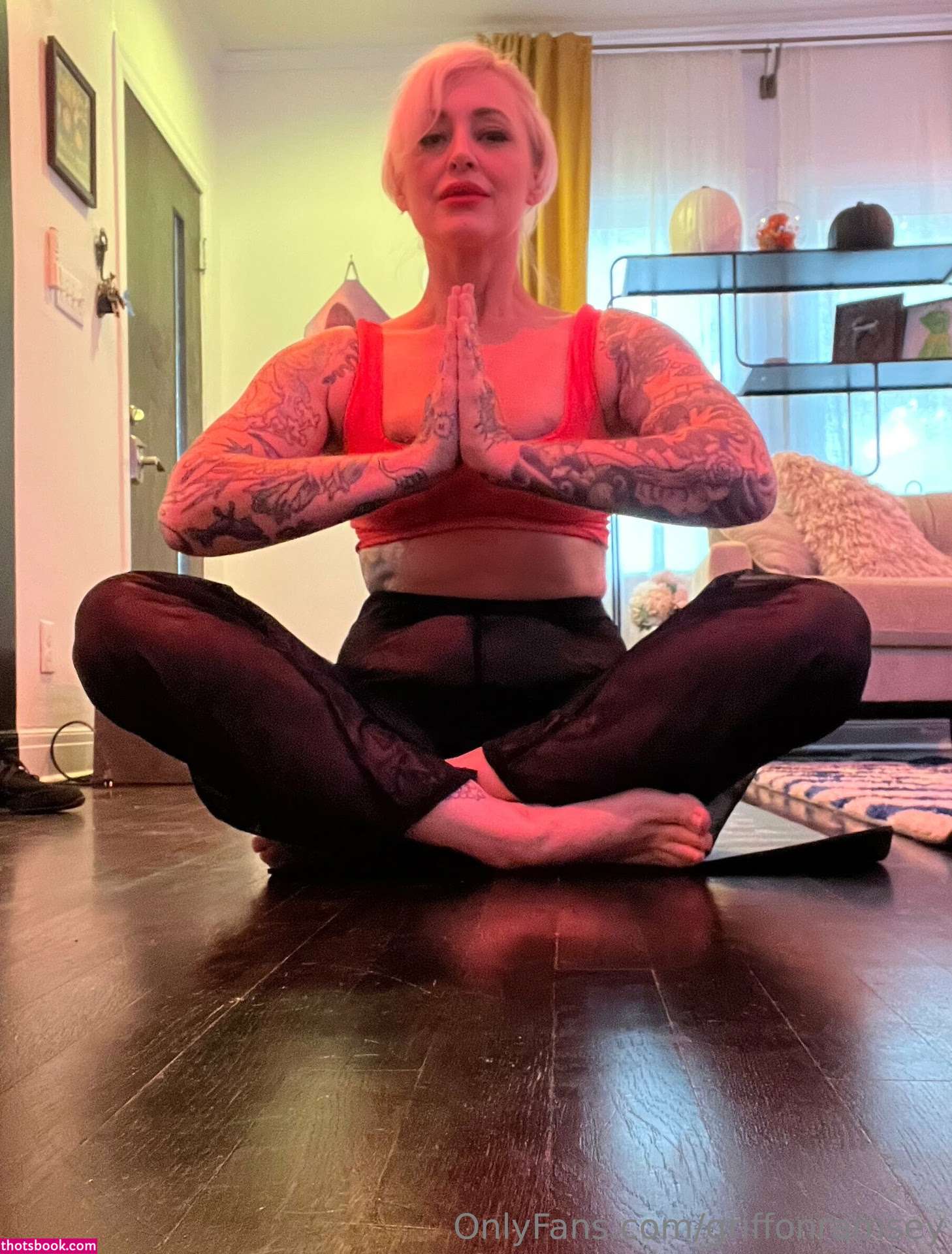 Griffon Ramsey Photo #167