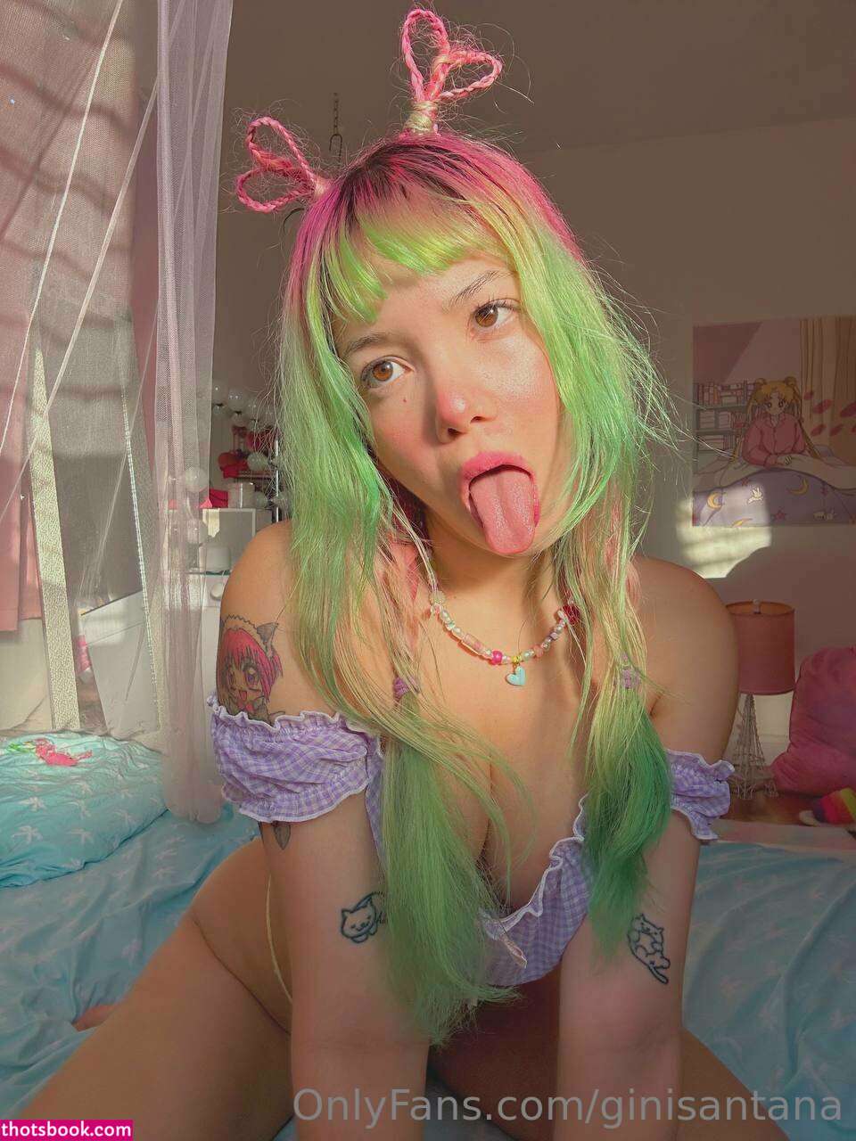 Ginisantana Photo #135