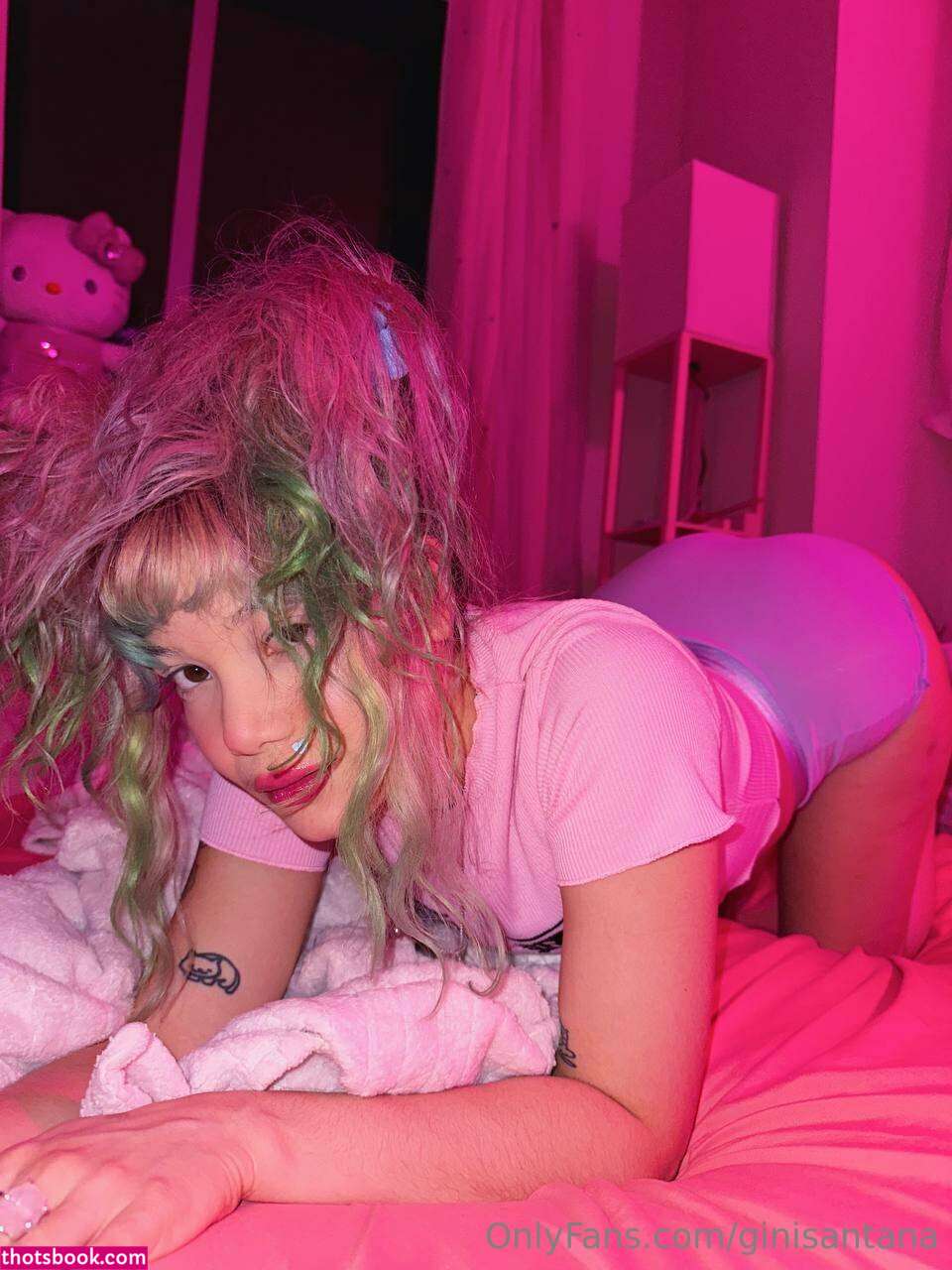 Ginisantana Photo #164