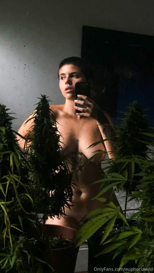 Euphoriawild Post #3