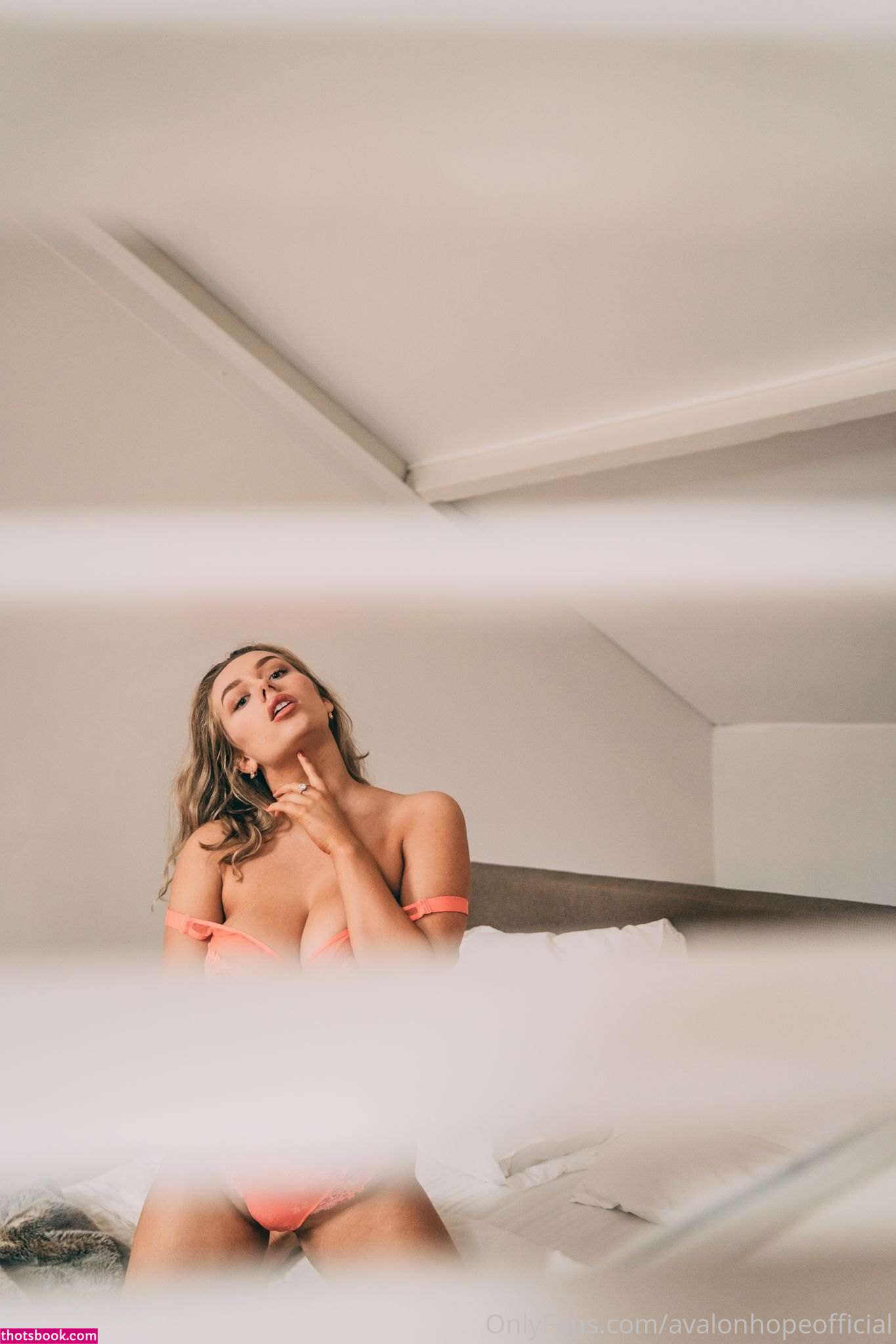 Avalon Hope Photo #250