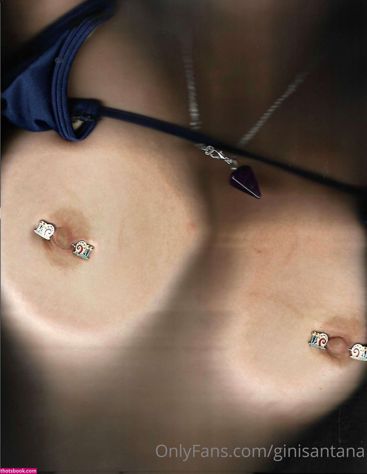 Ginisantana Photo #291