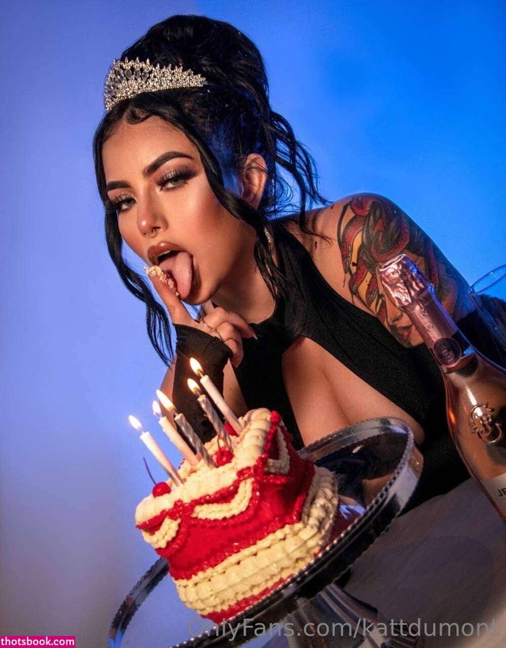 Kattdumont Photo #50