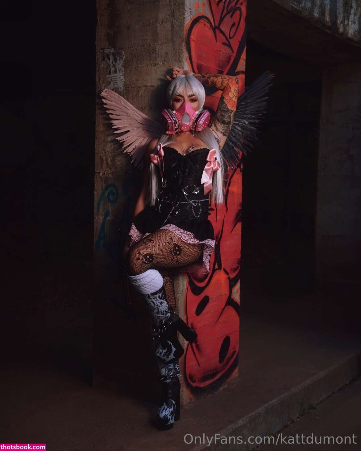 Kattdumont Photo #131