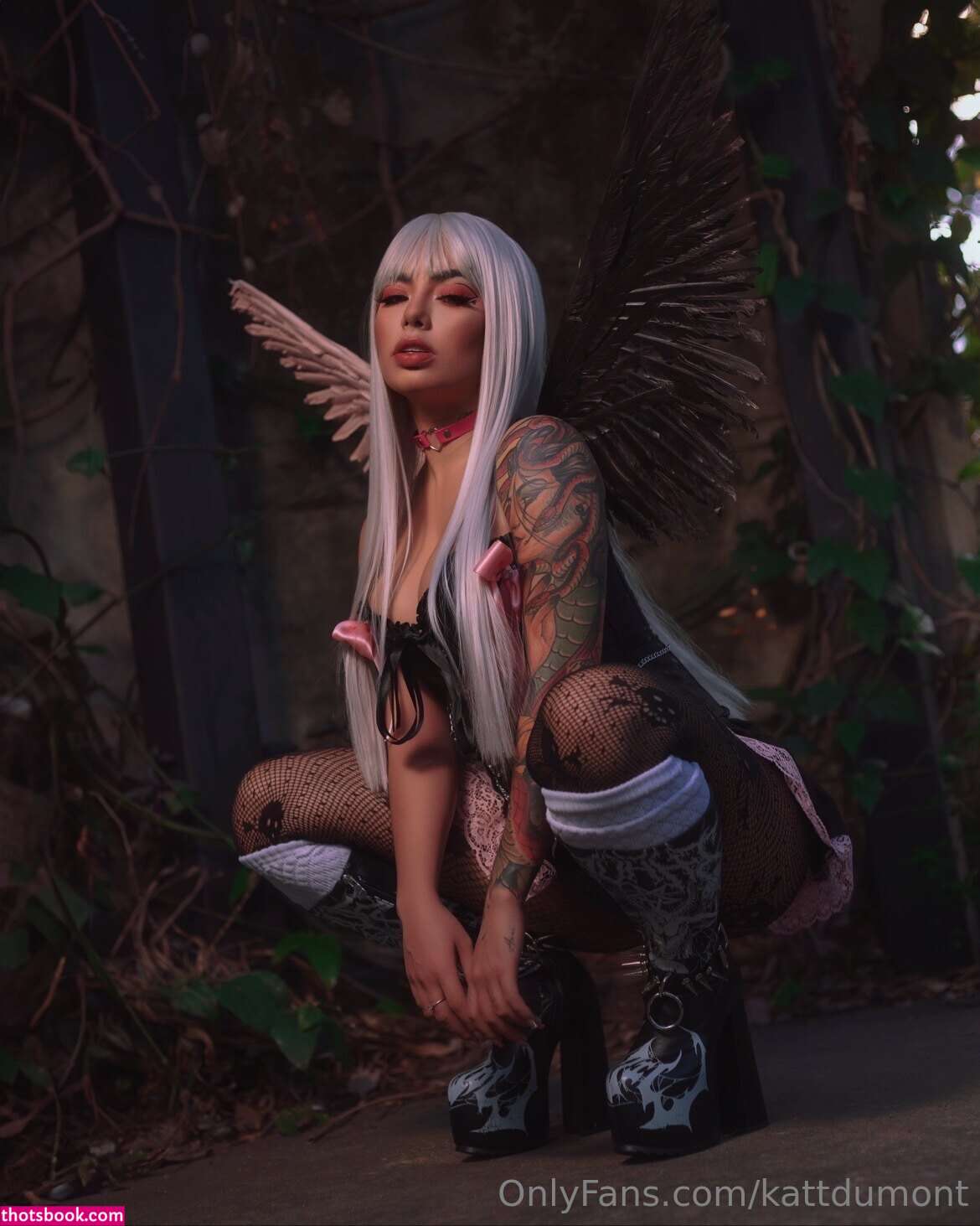 Kattdumont Photo #134