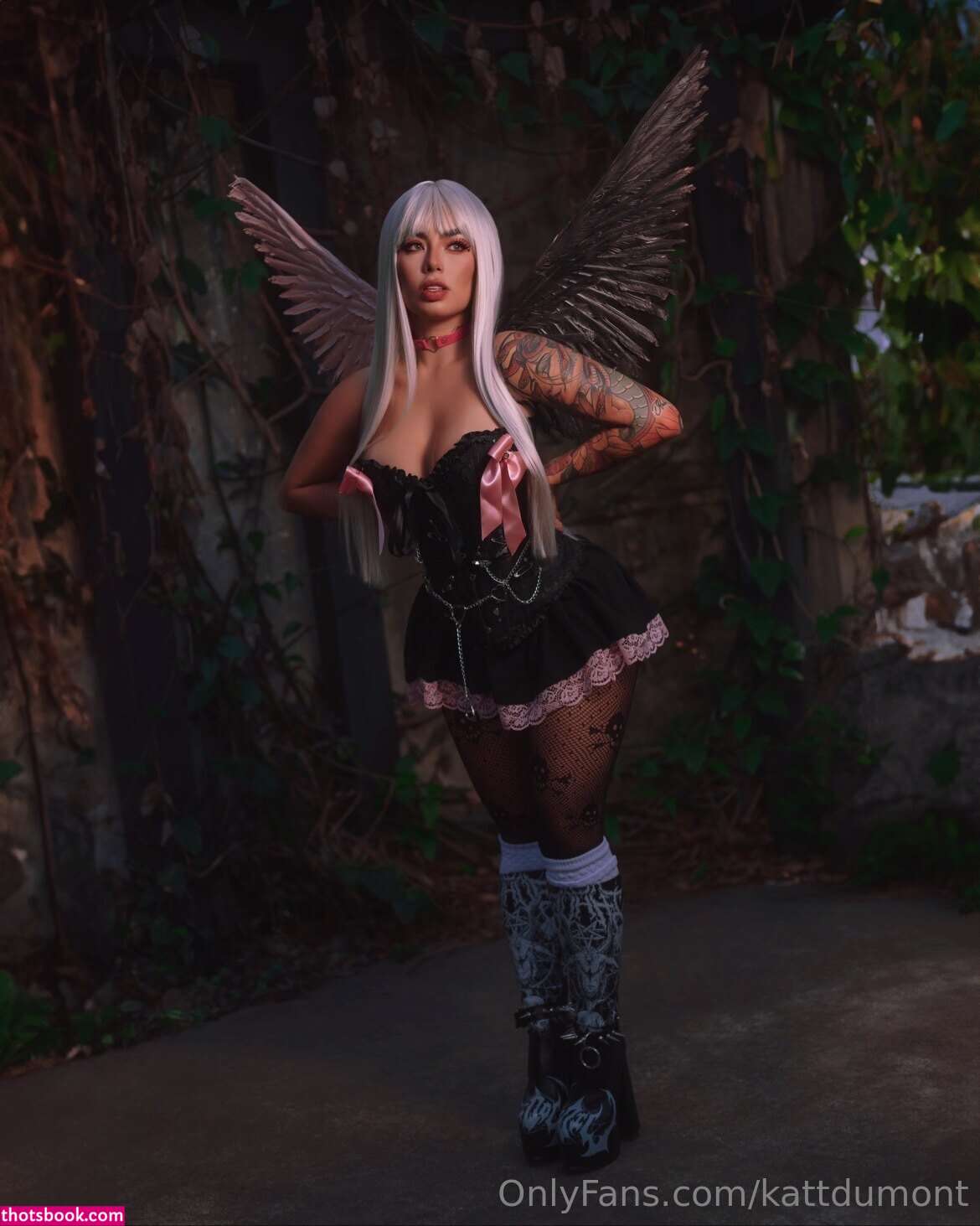 Kattdumont Photo #135