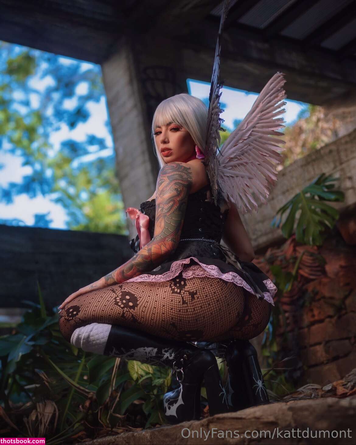 Kattdumont Photo #141