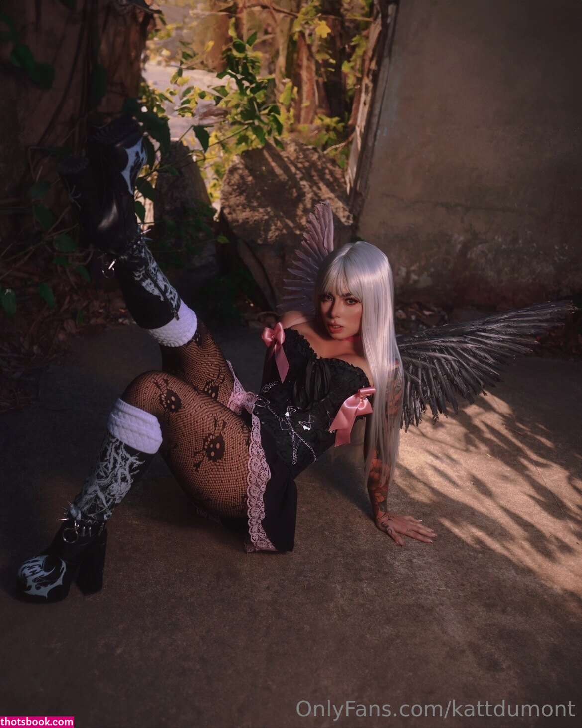 Kattdumont Photo #142