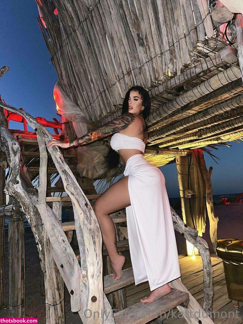 Kattdumont Photo #151