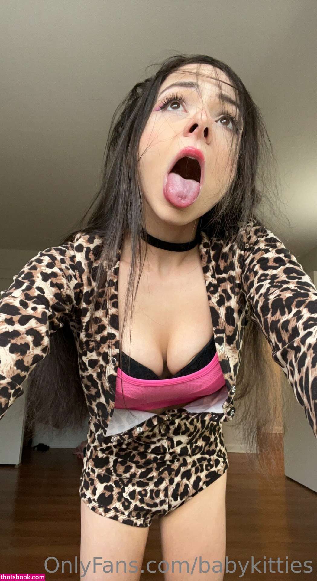 Babykitties Photo #104