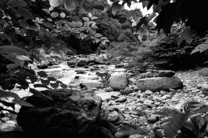 luizaconlaz Photo #199