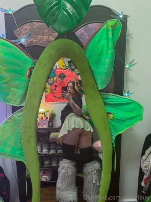 Midoribug Photo #263