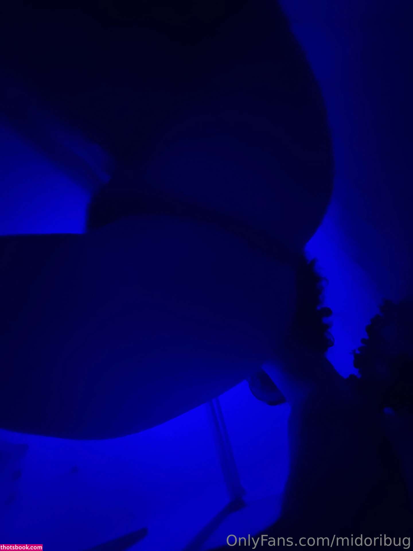 Midoribug Photo #267