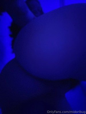 Midoribug Photo #268