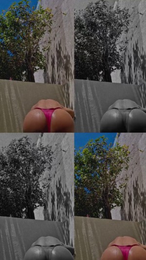 Pietra Principe Photo #246