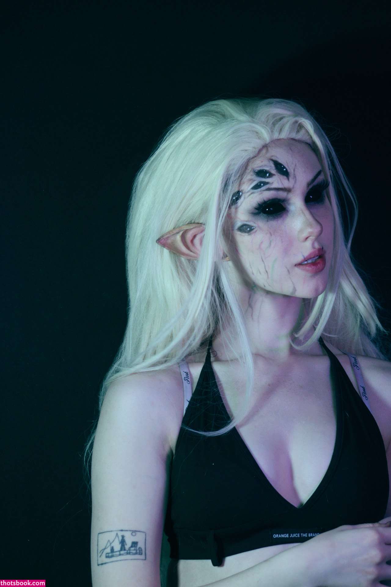 Valiantf0x Photo #12