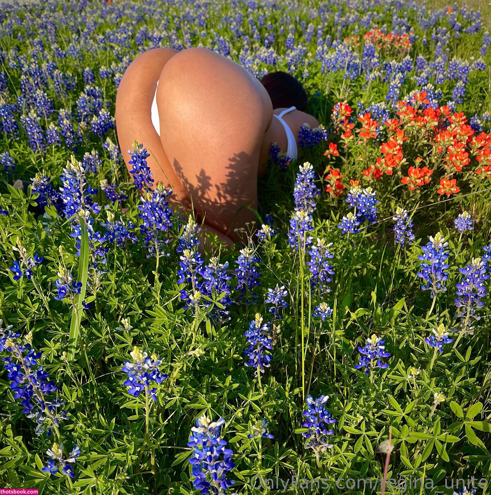 Regina Unite Photo #216