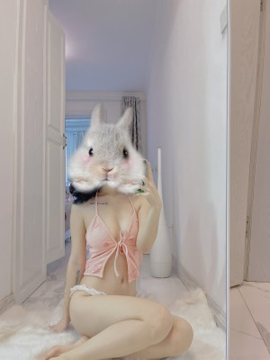 taoliangazhai Photo #33