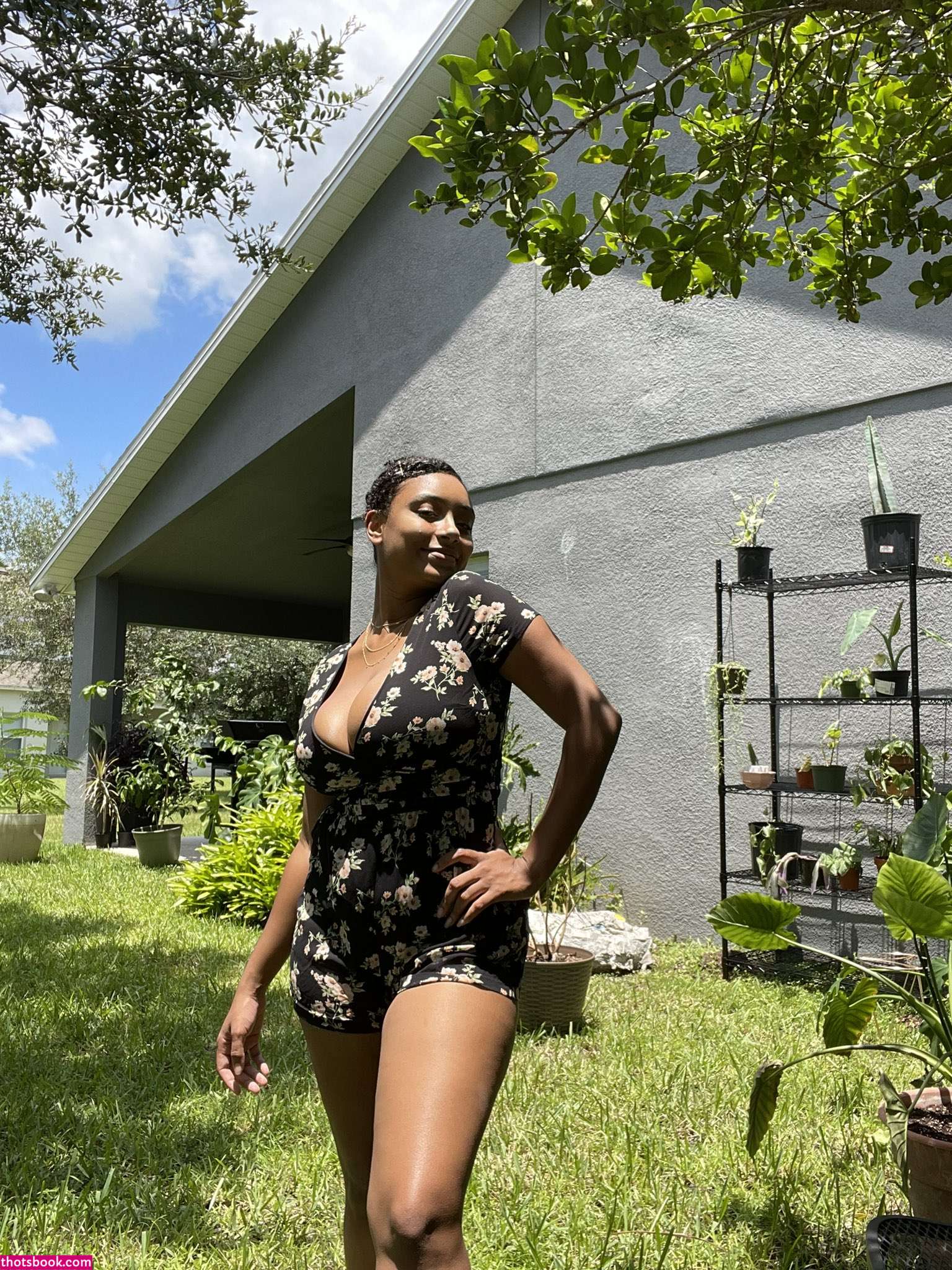 planterriah Photo #1