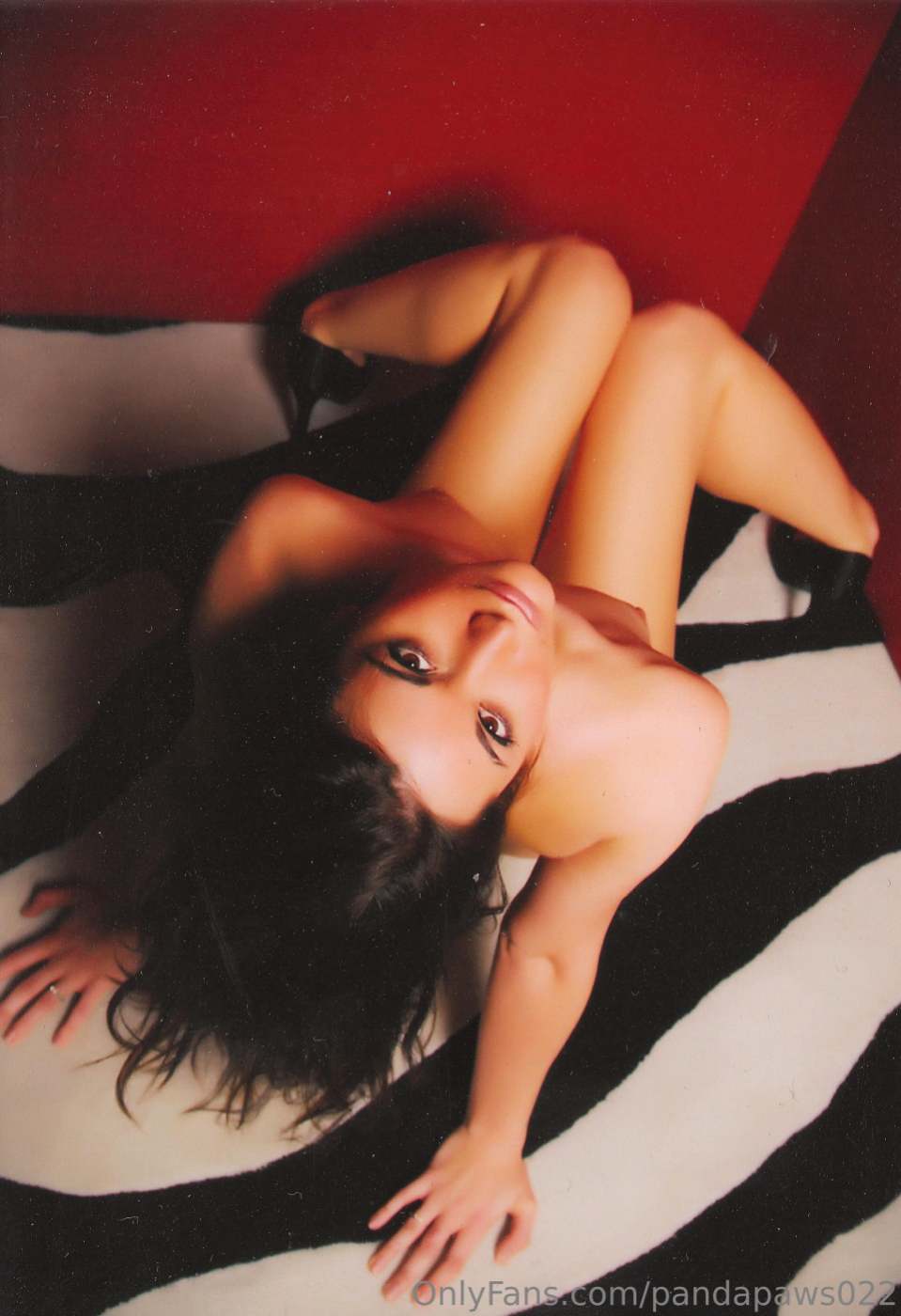 Pandapaws022 Photo #143