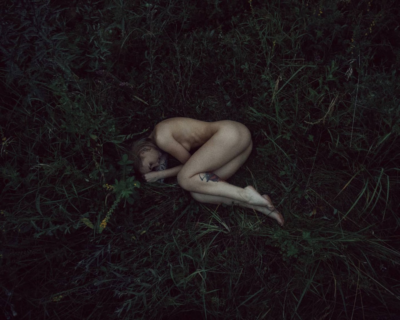 lisichkadevil Photo #1