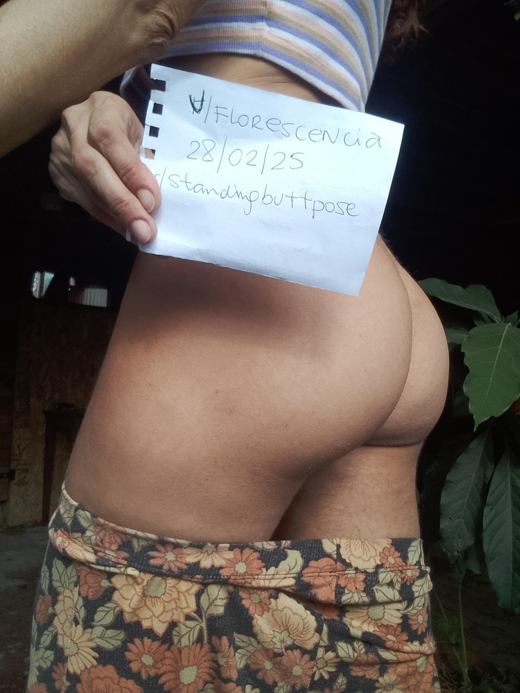 florescencia Photo #12