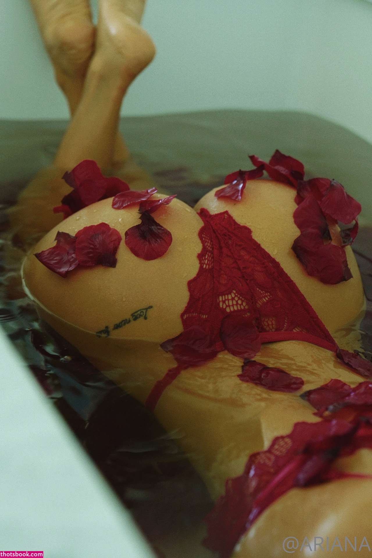 Ariana James Photo #1