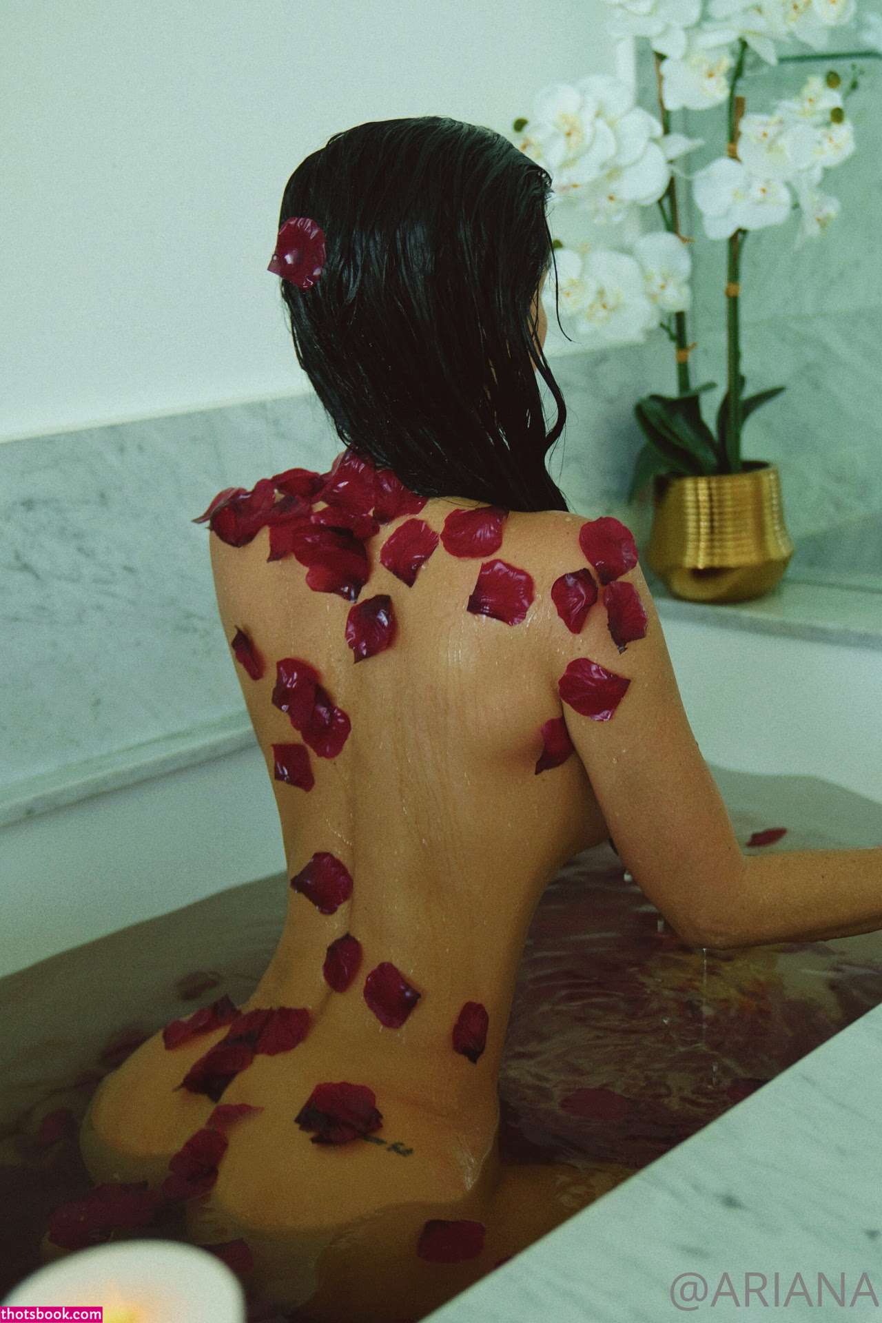 Ariana James Photo #3