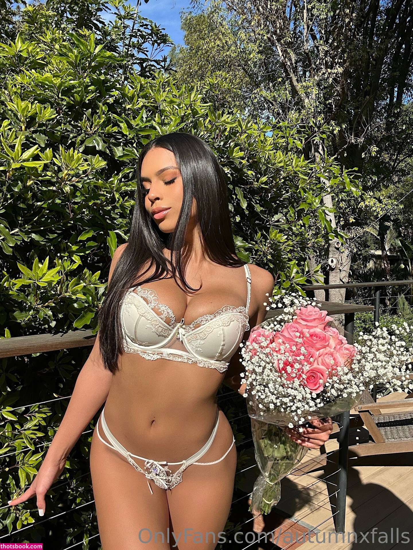 Autumn Falls Photo #273