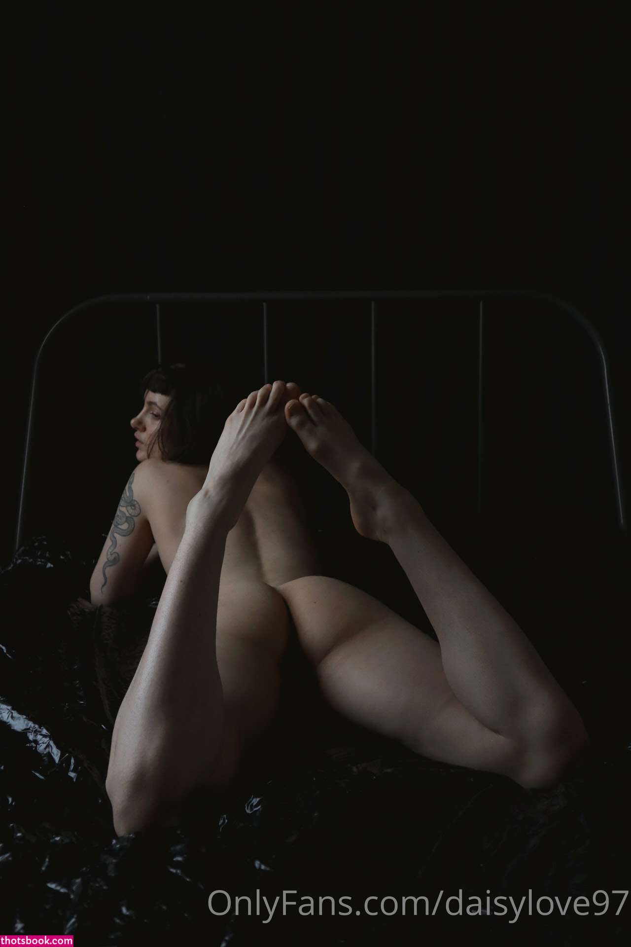 Daisy Love Photo #143