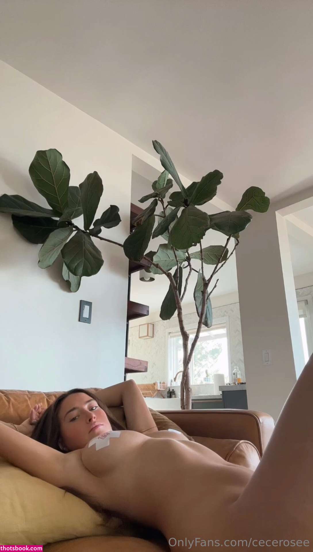 Cece Rose Photo #349