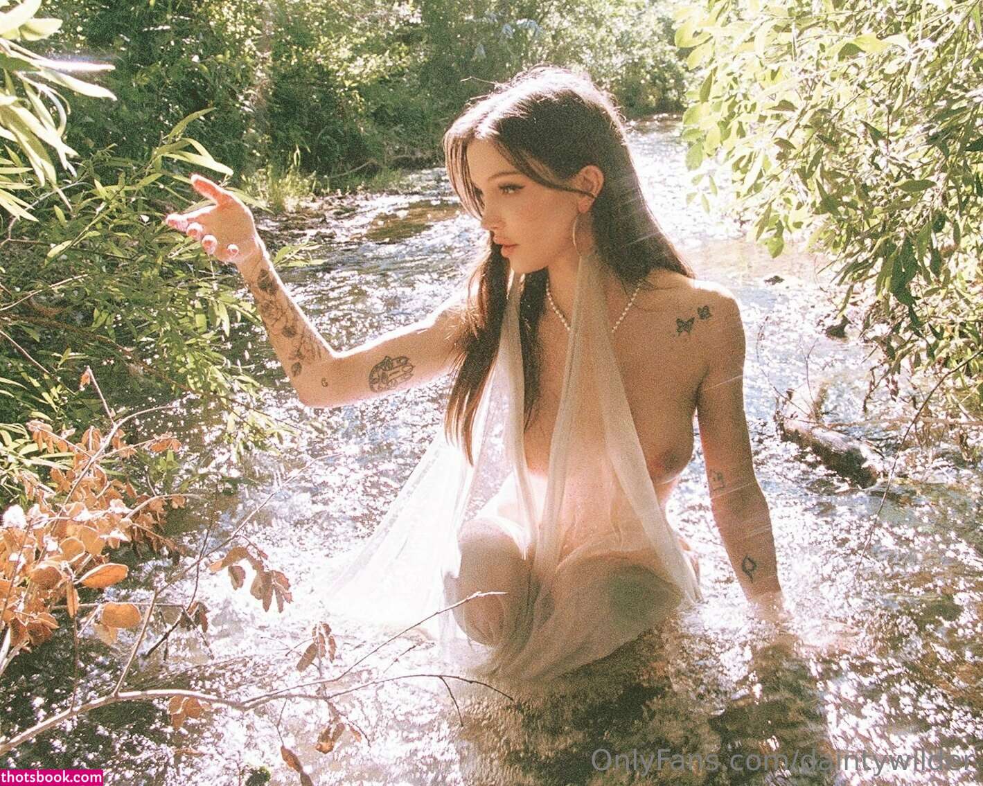 Dainty Wilder Photo #794