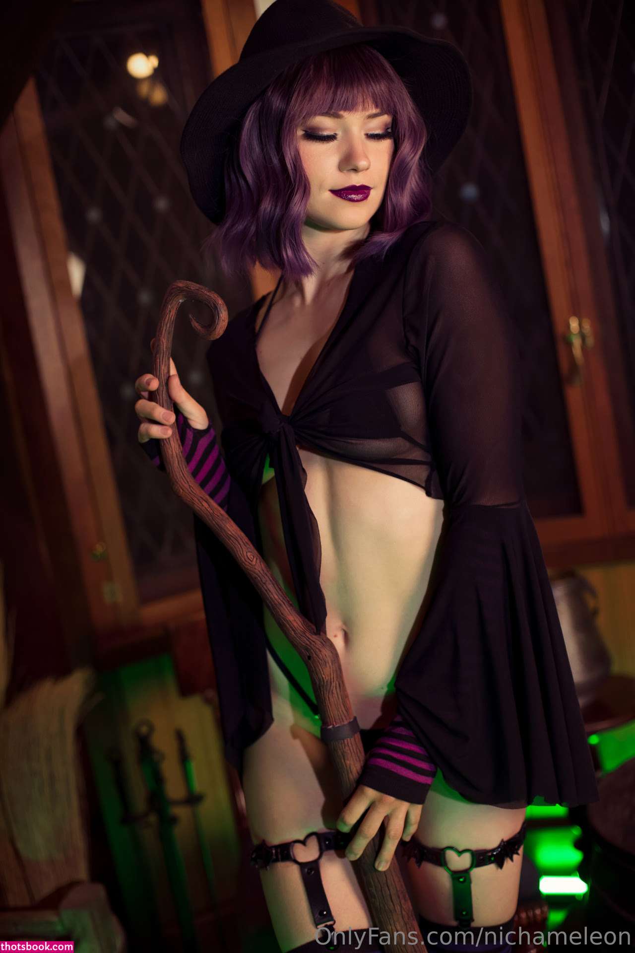 Nichameleon Photo #374