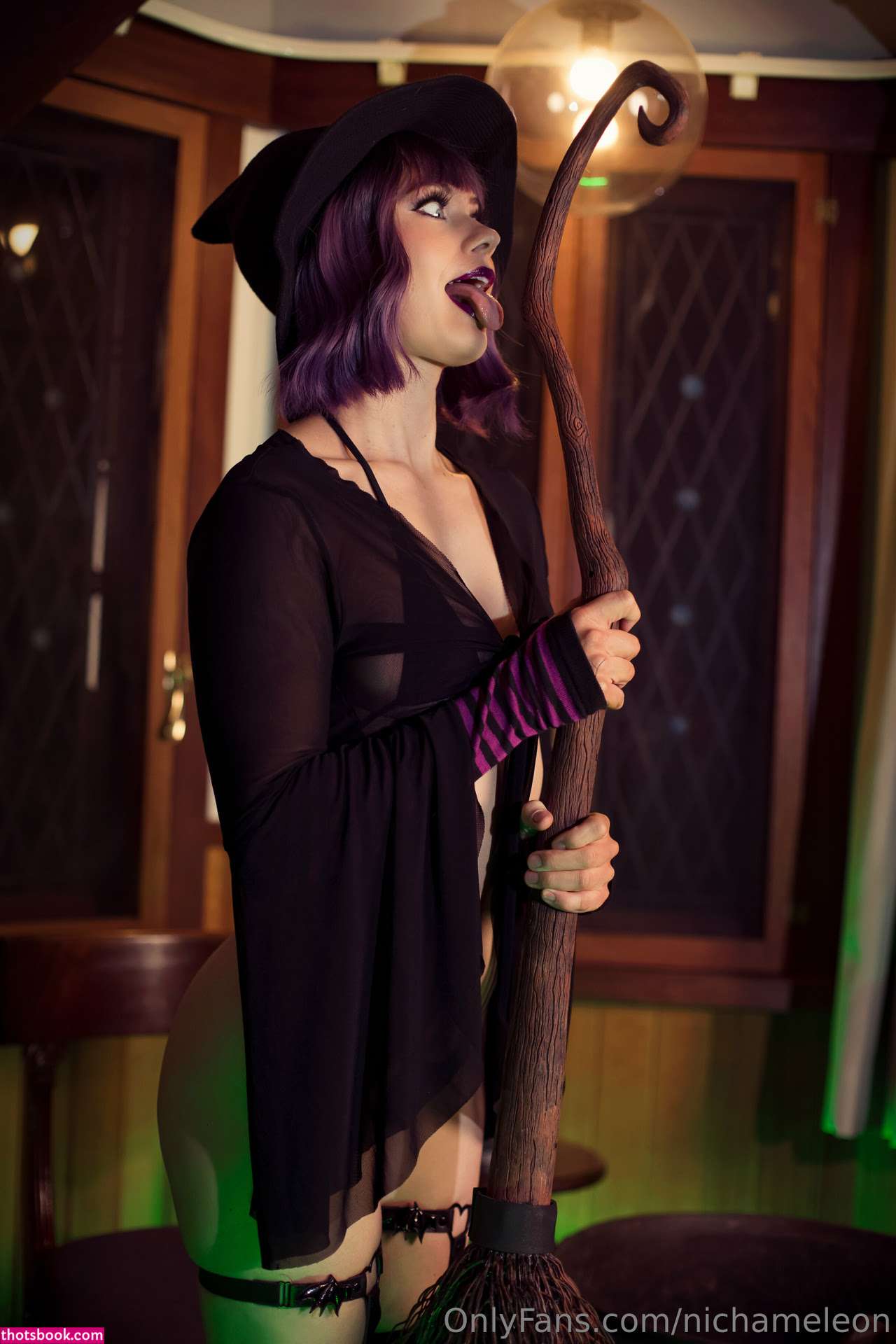 Nichameleon Photo #387