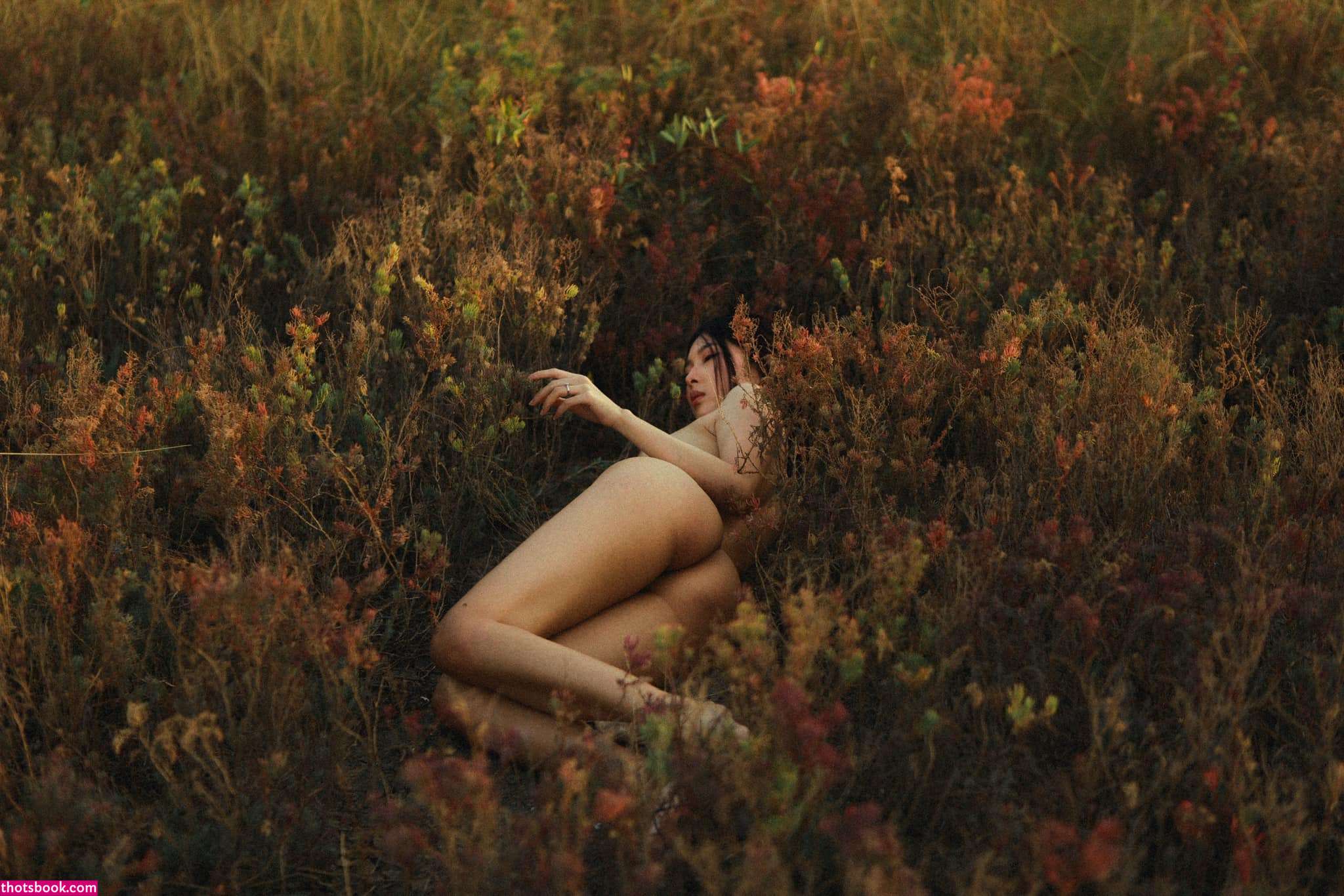 Tharinton Donmuenstri Photo #46