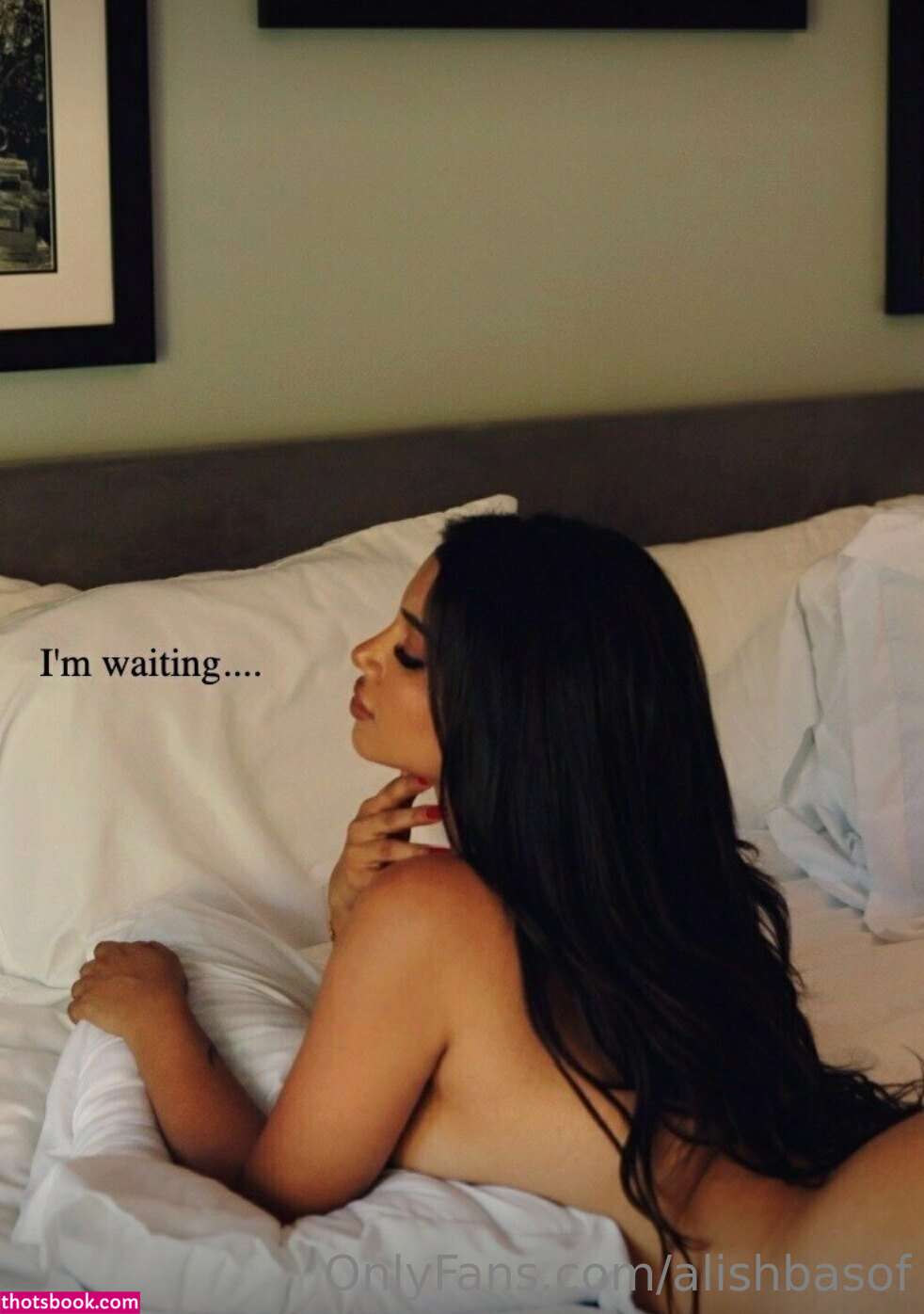 Alishbasheikh Photo #45