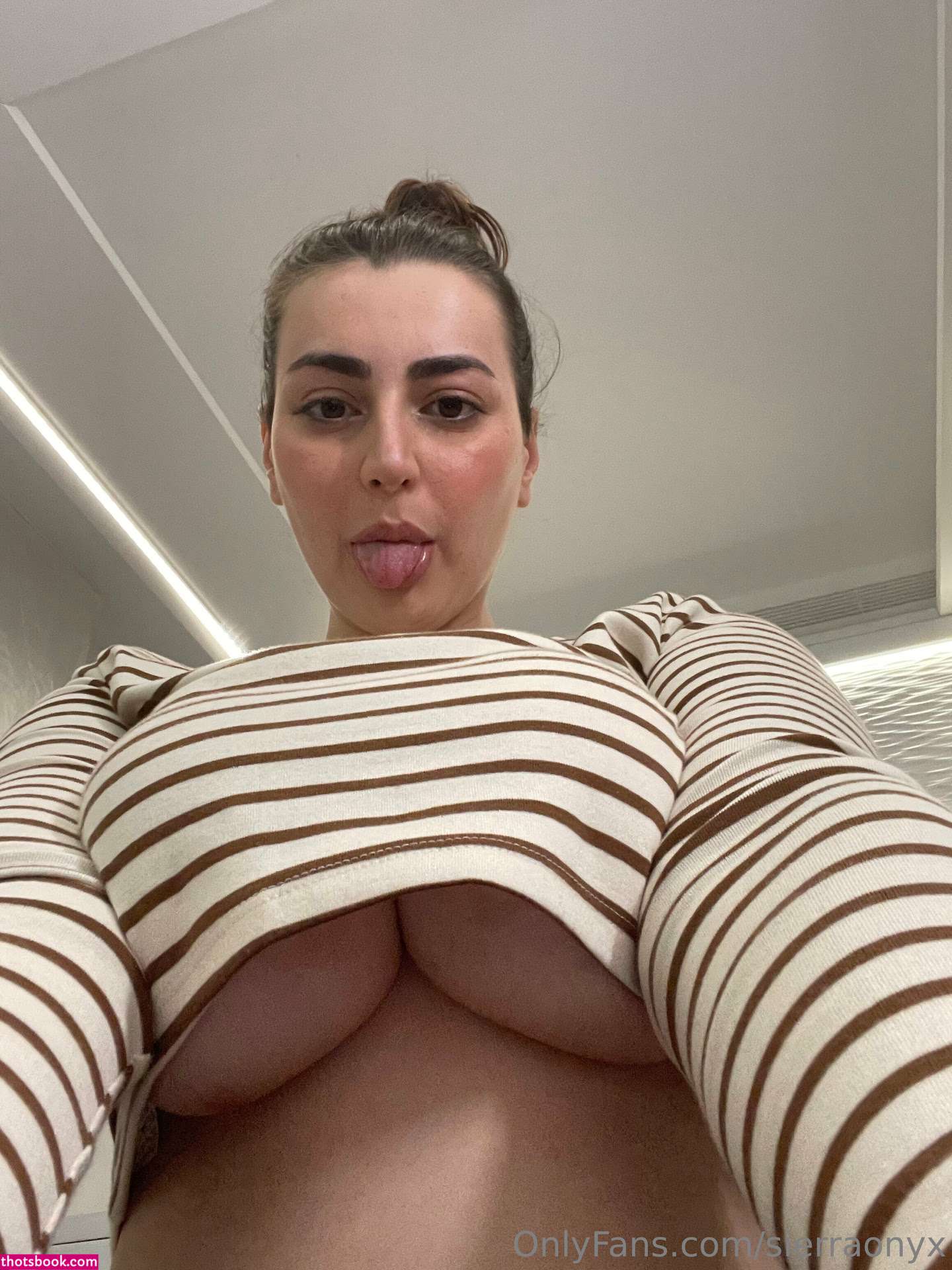 sierraonyx Photo #15