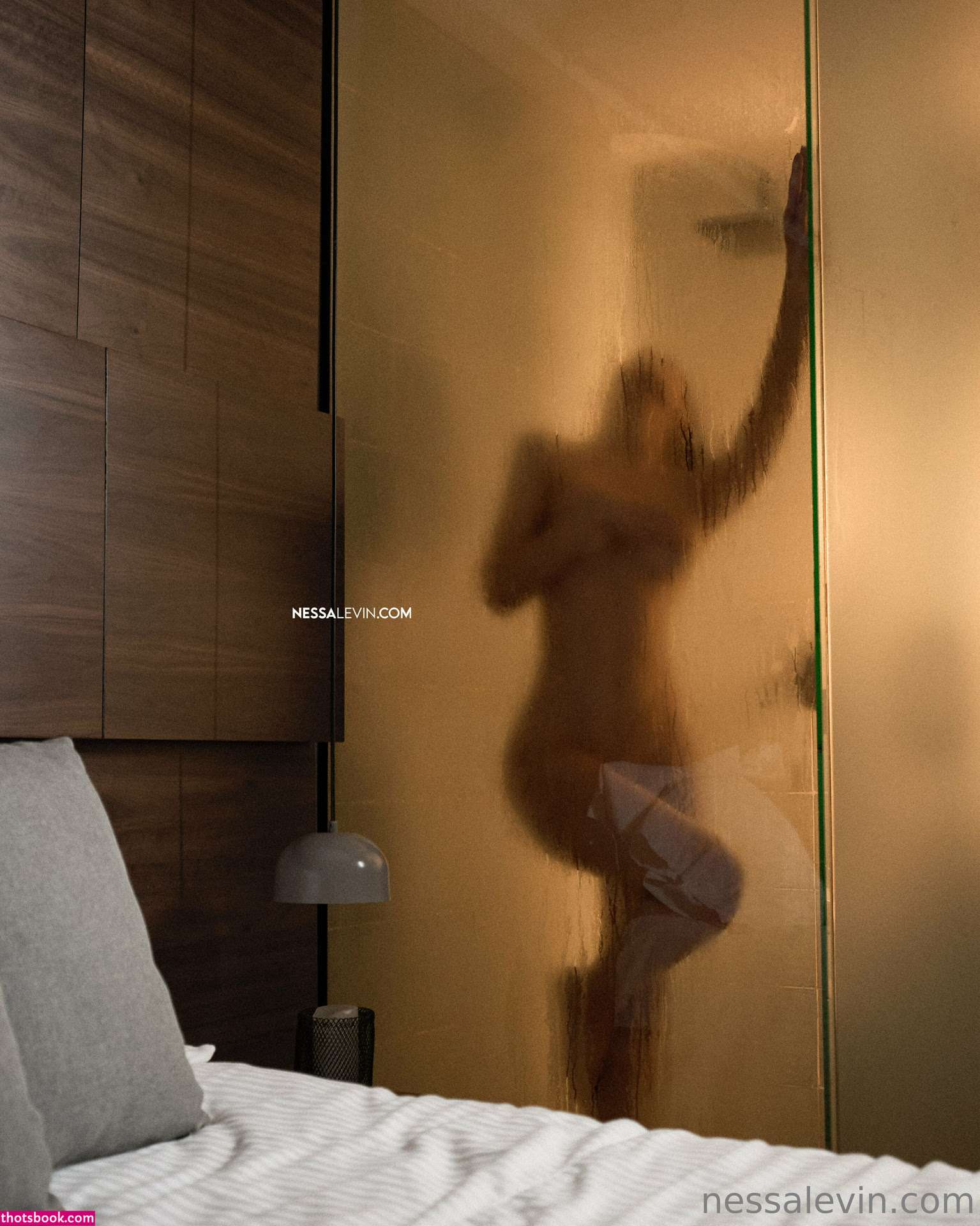 Nessa Levin Photo #1