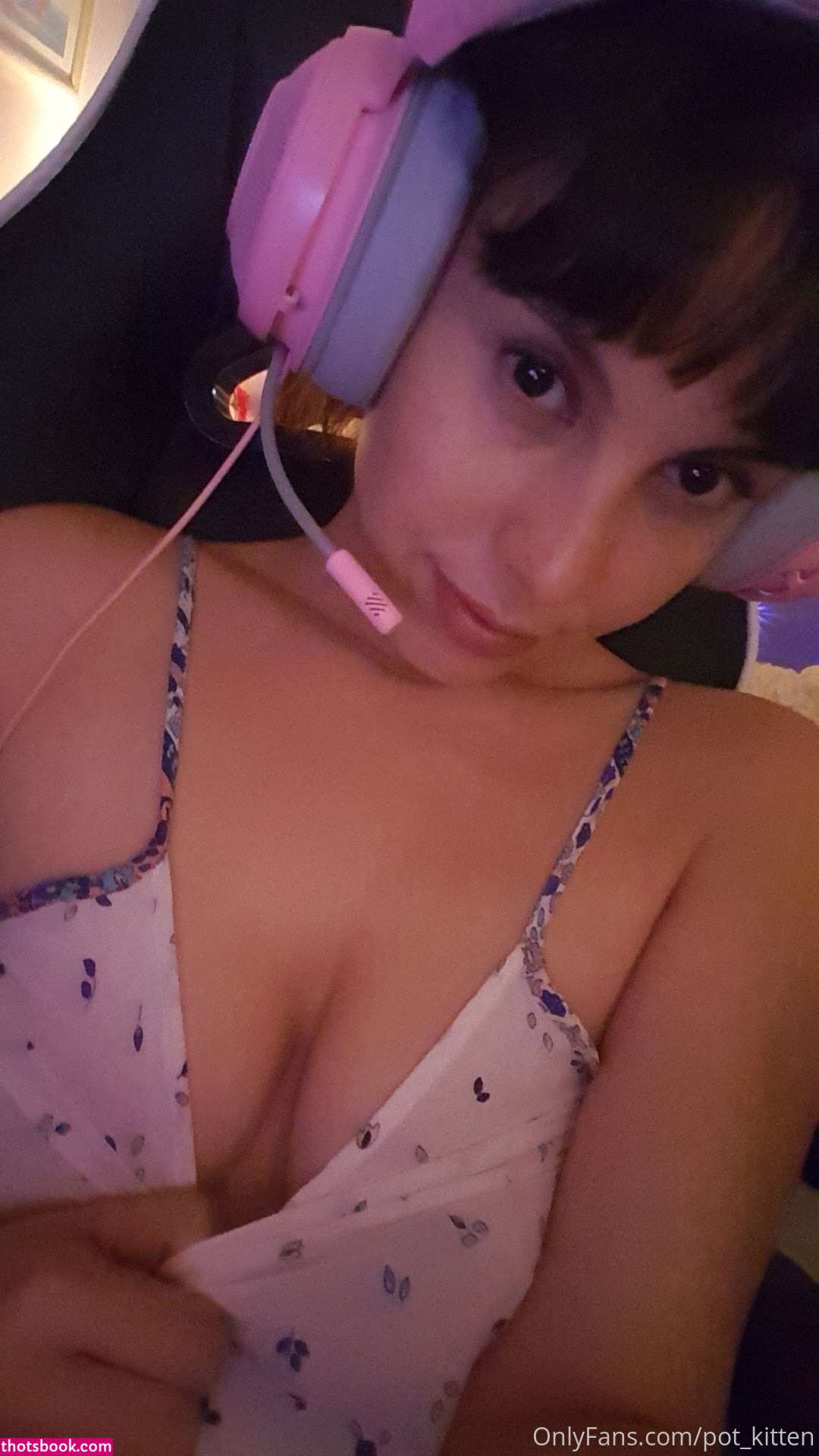 Pot kitten Photo #41