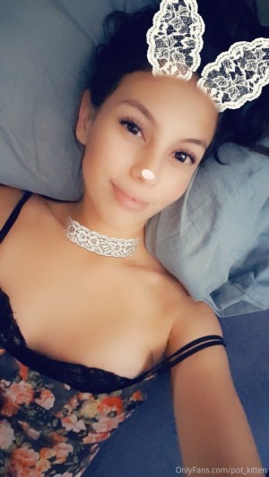 Pot kitten Photo #55